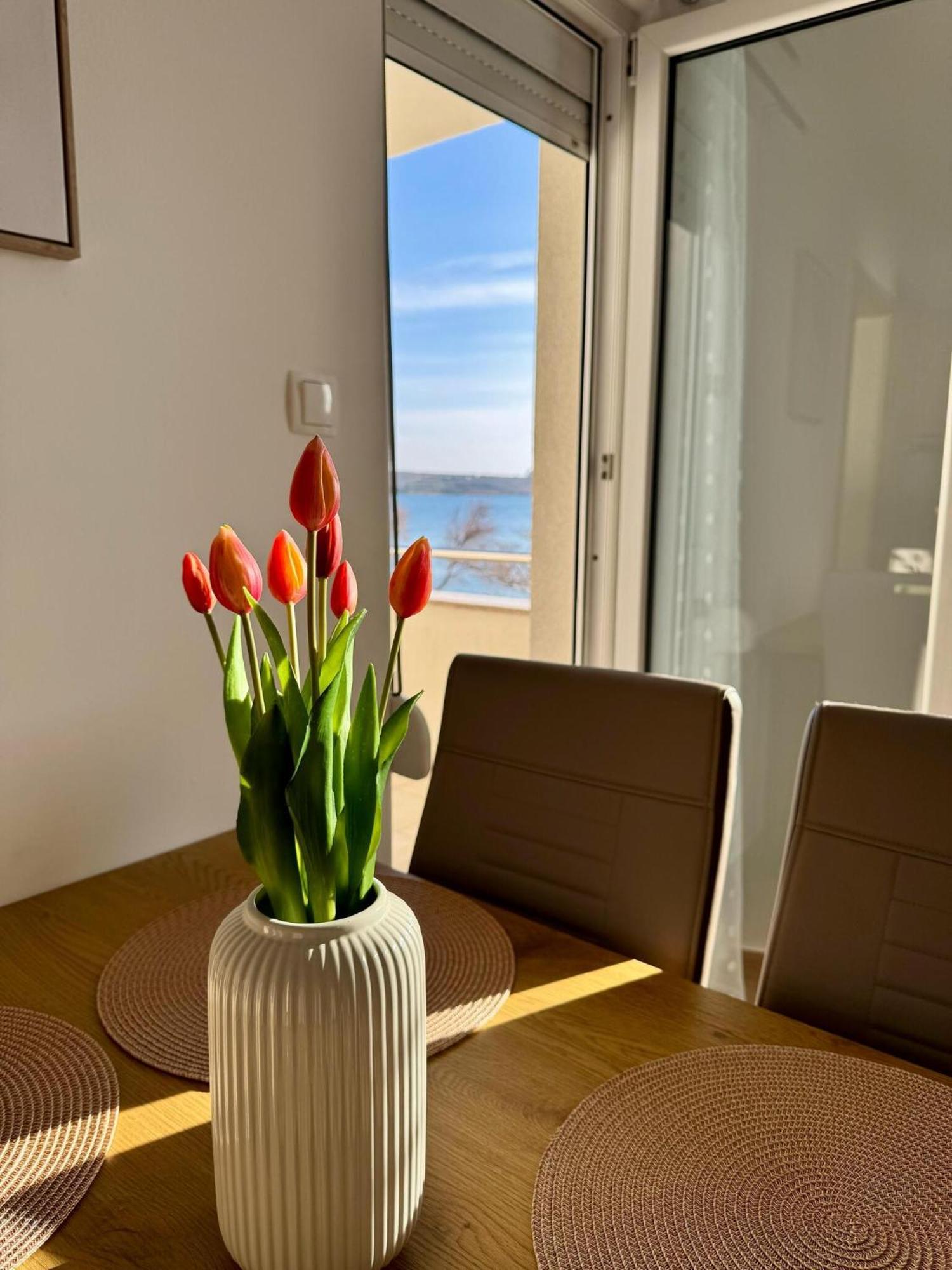 Apartments Franko Povljana Eksteriør bilde